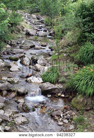 Stream With Fresh Water In The Middle Of The Woods In Spring