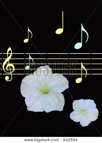 เพลงดอกไม้