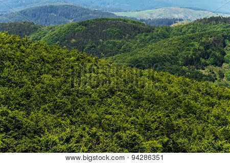 Hilly Landscape. Tuscany, Italy