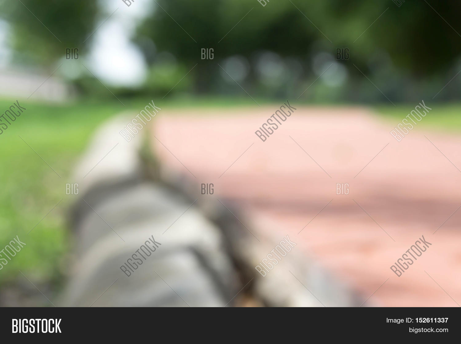 Green Tree / Blurred Image & Photo (Free Trial) | Bigstock