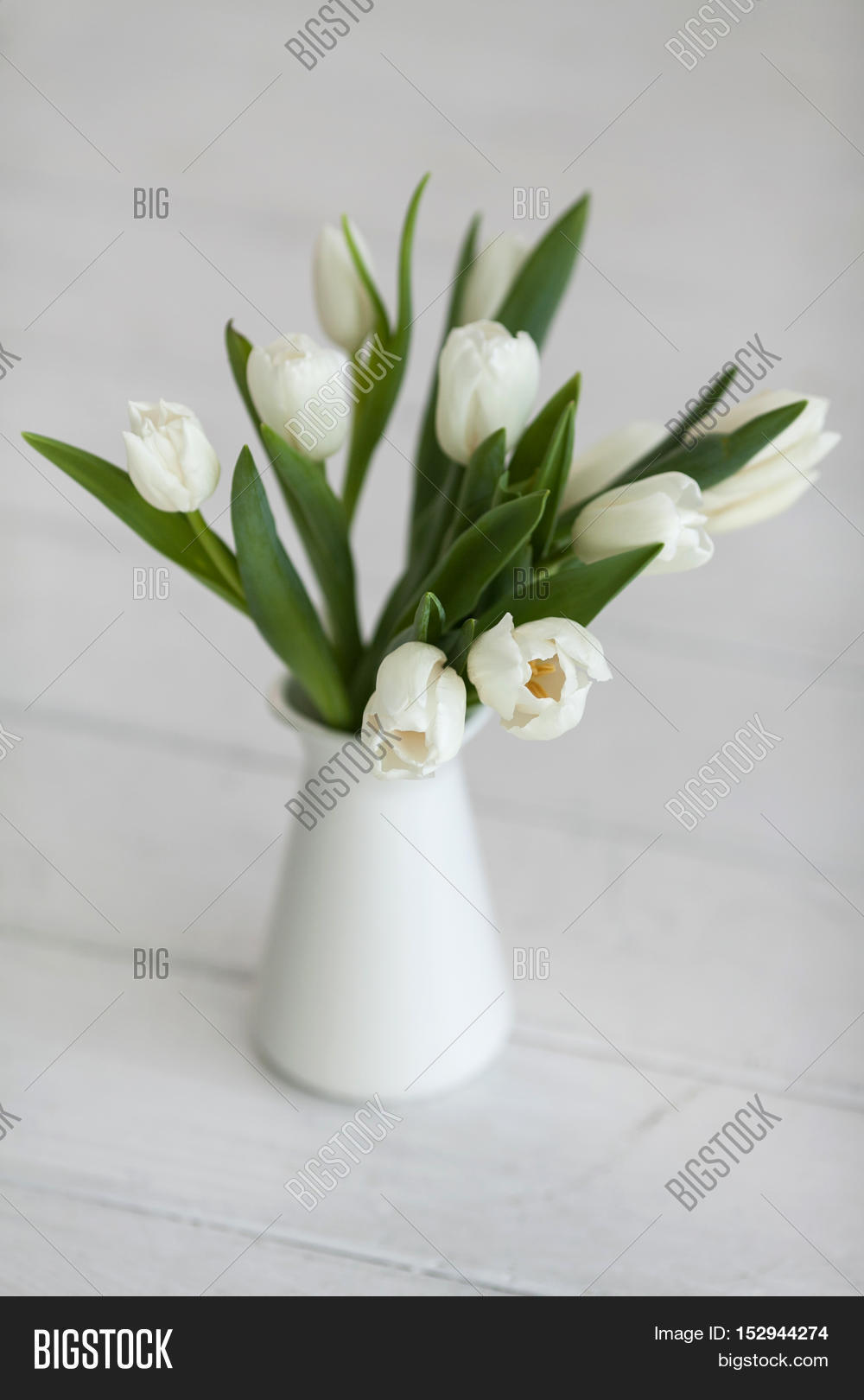 White Tulips Vase On Image & Photo (Free Trial) | Bigstock