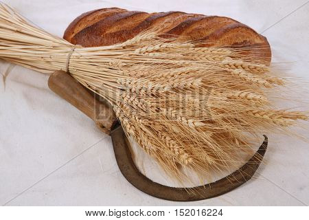 bunch of mown wheat ears with vintage handmade reaper hook sickle and rye dark white french fresh bread loaf on light linen tablecloth