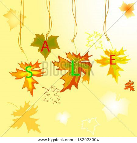 Autumn Maple  Leavse With Sale