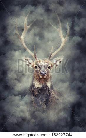 Deer In Smoke