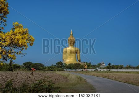 Giant Buddha Monastery far away view during sunrise.