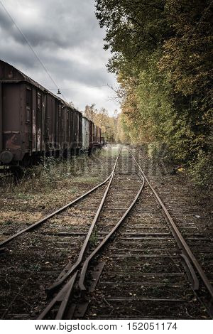 Abandoned train set still standing on the old track trees and bushes begin to grow through. On the right side is the old abandoned track.