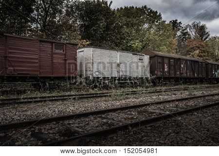 Abandoned train set still standing on the old track trees and bushes begin to grow through.