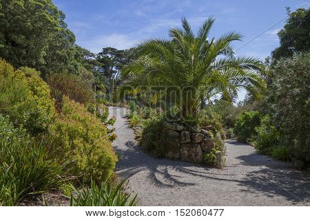 Abbey Gardens, Tresco, Isles of Scilly, England