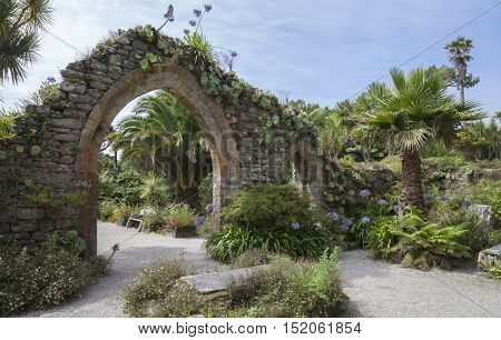 Abbey Gardens, Tresco, Isles of Scilly, England