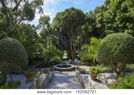 Abbey Gardens, Tresco, Isles of Scilly, England