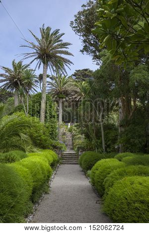 Abbey Gardens, Tresco, Isles of Scilly, England