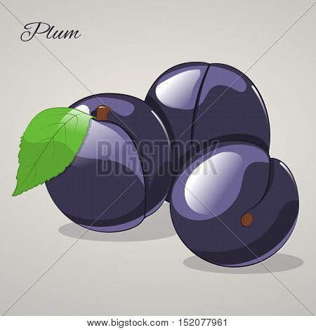 Cartoon sweet plum isolated on grey background, vector illustration. Fruits and vegetables collection.