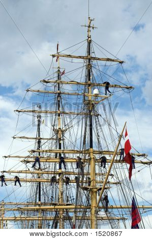Sailors In The Mast