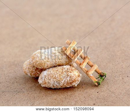 picture of a Peanuts in shells on wood background
