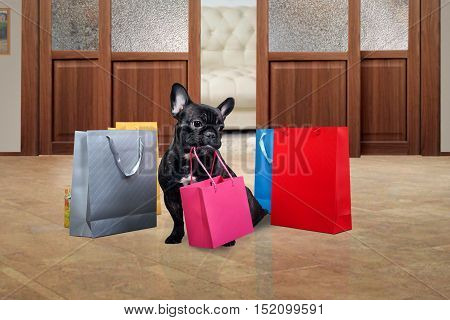 Cute dog holding in teeth a bag for purchases. Many multi-colored bags around the dog on the floor. The concept of the sale purchase pet products