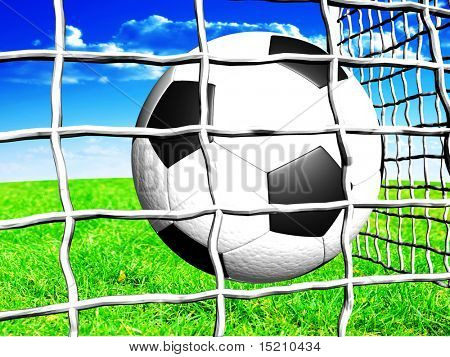 foot ball in gate mesh