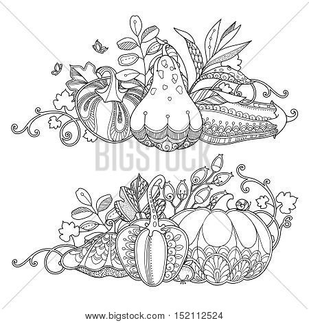 Vector set garden borders compositions in doodle style. Floral, ornate, decorative, design elements. Black and white monochrome background. Pumpkins, berries and leaves. Zentangle coloring book
