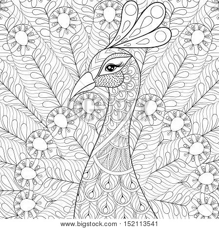 Peackock in zentangle style for adult coloring pages