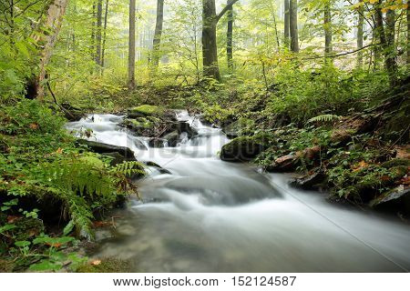 Forest stream autumn Nature background Forest stream river Nature background Forest stream brook Nature background Forest stream fall deciduous trees water Nature background foliage leaves waterfall Nature background Natural environment Nature background.