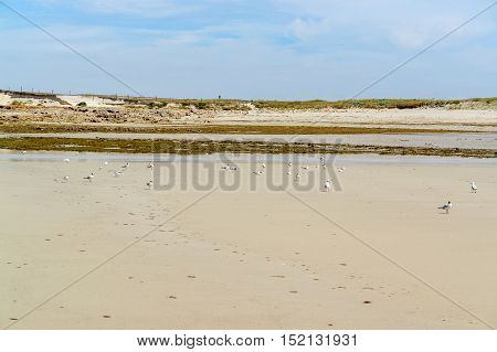 Sunny Beach In Brittany