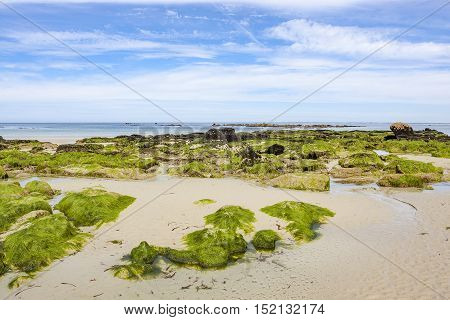 Sunny Beach In Brittany