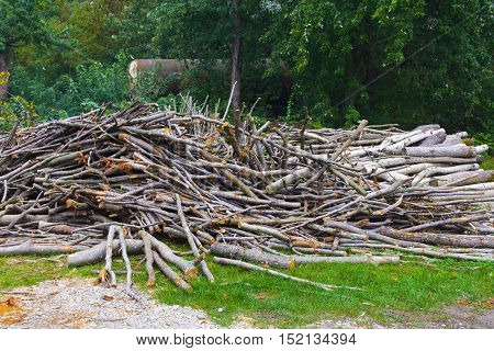 Firewood piled a heap in a field near the house