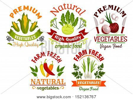Fresh farm vegetables and herbs symbols with organic chilli and bell peppers, onion, corn, kohlrabi, scallion, parsley and dill sprigs, decorated by ribbon banners