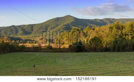 Panoramic picture of Smoky Mountains National Park during Fall Season during sunset