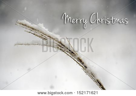 Merry Christmas - Gentle snow falling on brown landscape grass
