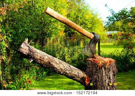 Axe on a stump in a green garden