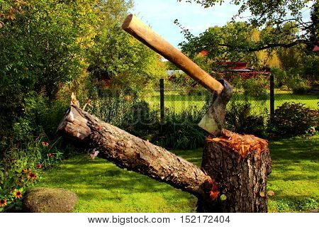 Axe on a stump in a green garden