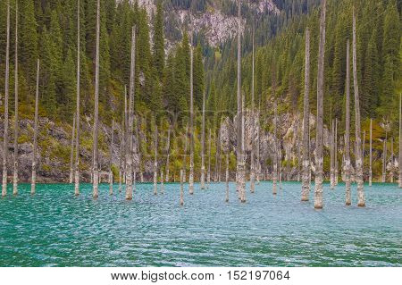 Kaindy Lake in Tien Shan mountain system Kazakhstan