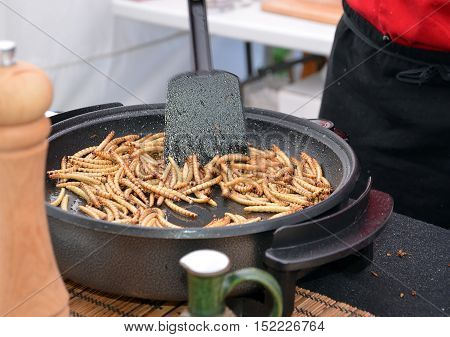 Zophobas Morio Worms Larvae Food Frying On The Pan