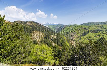 Landscape in Pindus mountains (1600m), Epirus, Greece