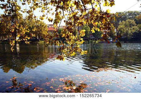 Morning autumn landscape on the river bank