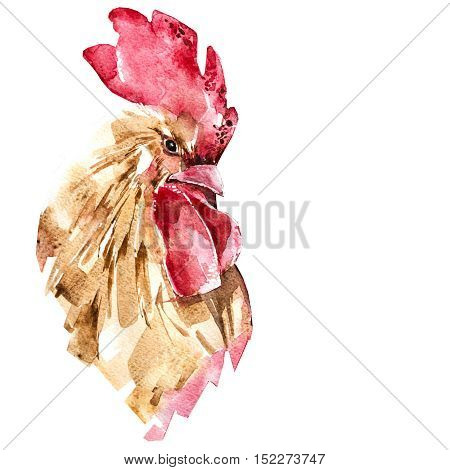 Beautiful colorful and bright watercolor rooster. Hand drawn illustration for your graphic design. Cock - Symbol of New Year 2017. Hand lettering
