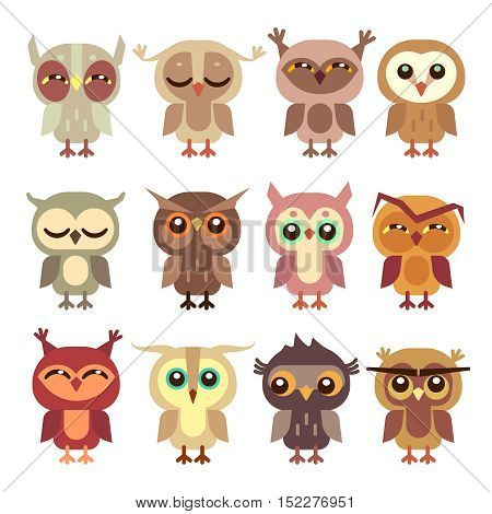 Funny cartoon owls vector set. Wild bird predator, little owlet illustration