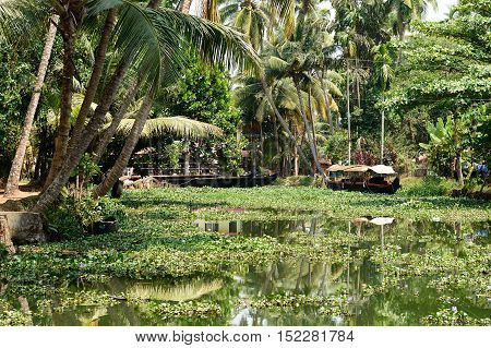 India Coco trees reflection and beautifoull house boat at back waters of Kerala