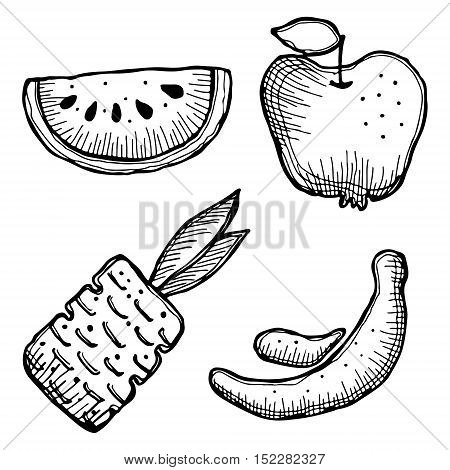 Vector Graphic Hand Drawn Illustration