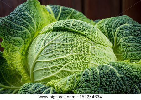 Green fresh whole Savoy cabbage close up on wooden background