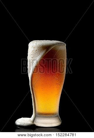 Fresh beer in a glass on a black background. The concept of food.