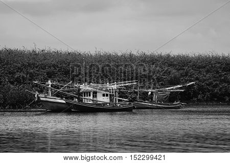 traditional fishing boat on the sea with mangrove forest in background.cloudy sky.fitered image.selective focus.black and white color process