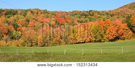 Fall landscape eastern township Bromont, Quebec, canada