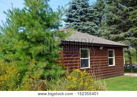 Beautiful log cabin in the woods in summer