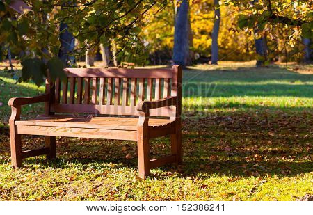 bench in the park, autumn and leaves lie on the ground, 