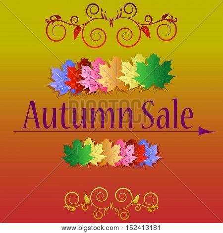 Autumn sale banners with multicolor maple autumn leaves. Vector fall poster background. Layout for discount labels flyers and shopping.