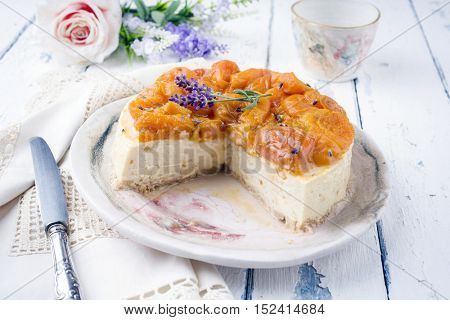 apricot  Cheesecake on Plate