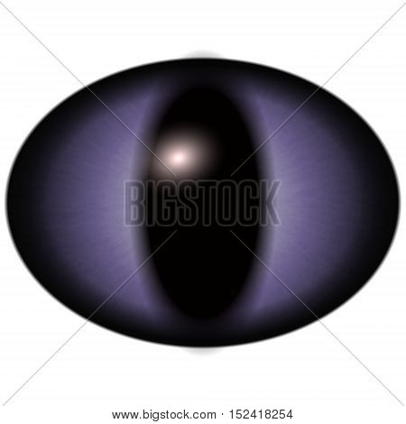 Isolated Eye. Raptor Image & Photo (Free Trial) | Bigstock