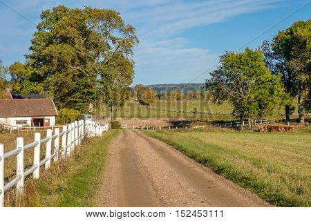 Autumn in the countryside of Vastergotland, Sweden