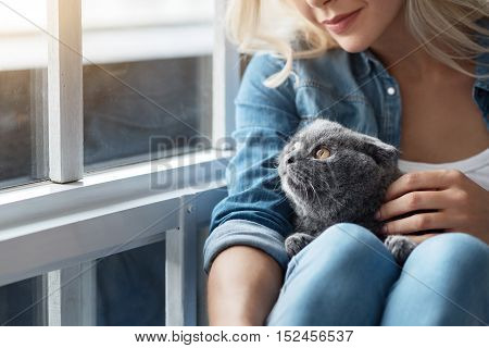 My sweetheart. Close up portrait of blond woman patting her British cat near window.